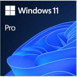Image of Microsoft Windows 11 Pro - 64-bit - 1 Licenza ESD