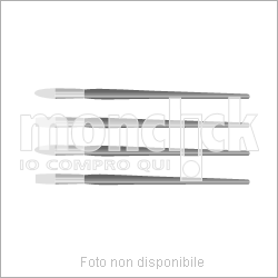 Pennello CWR - Pennellessa setola manico nat-mm.20 10920/20